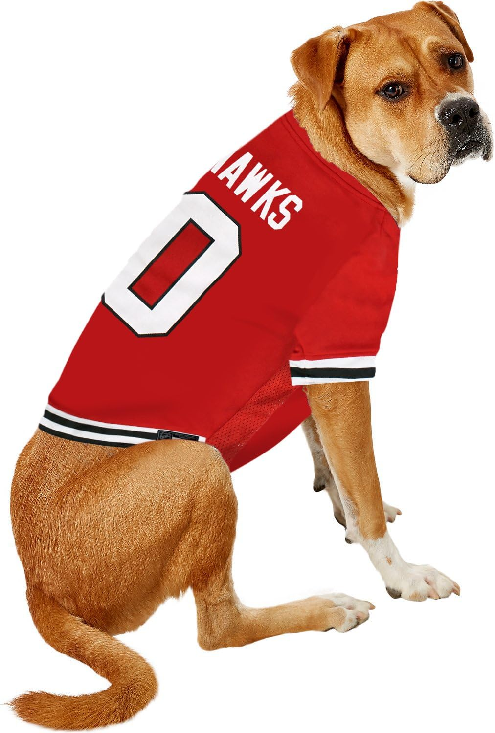 NHL Philadelphia Flyers a Premium Big Jersey for Dogs & Cats, Orange, Xx-Large image number 3