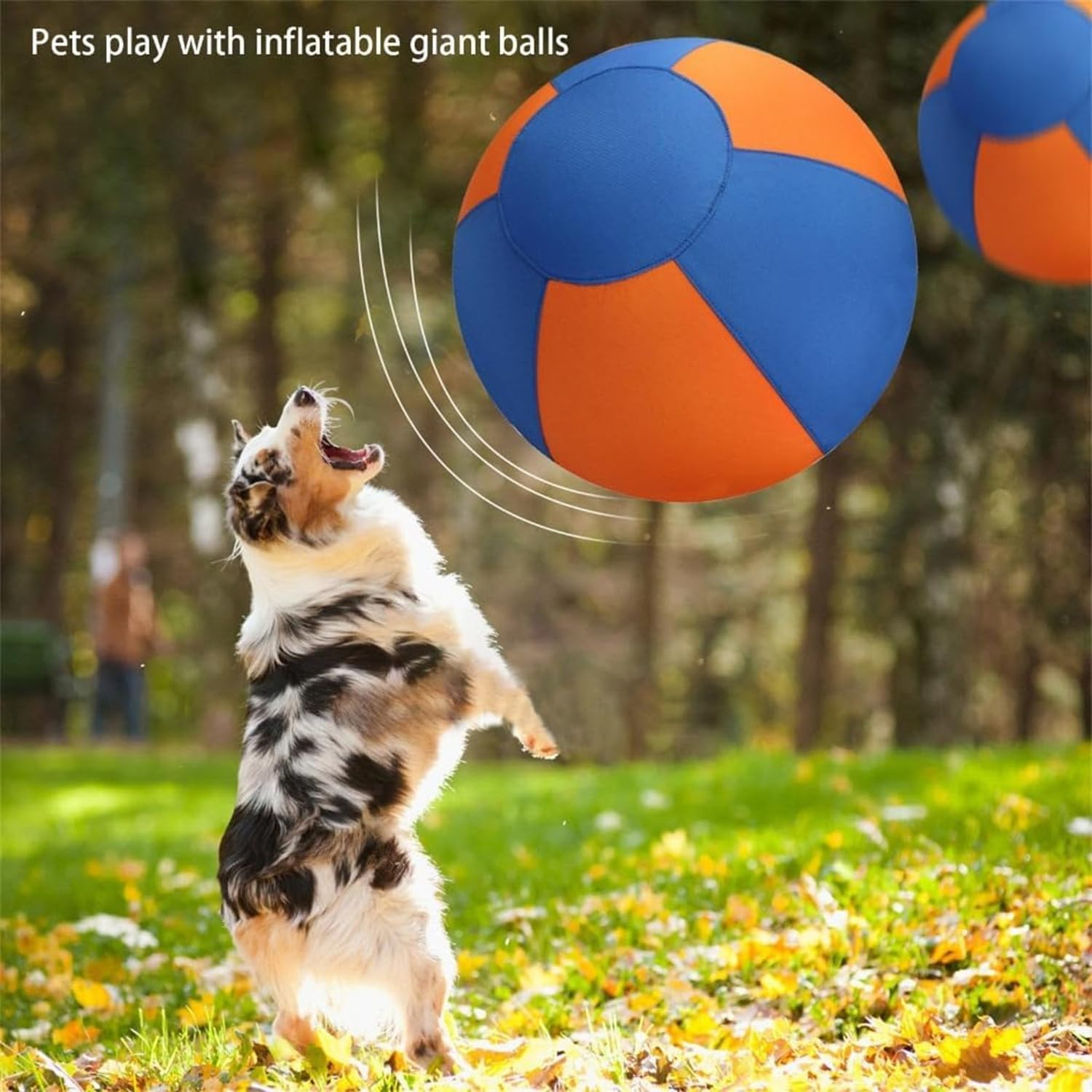 Herding Ball for Dogs, 45Cm Dog Herding Ball, Dog Agility Equipment, for Australian and German Shepherd Collie, Dog Toys for Christmas, Birthday Gifts