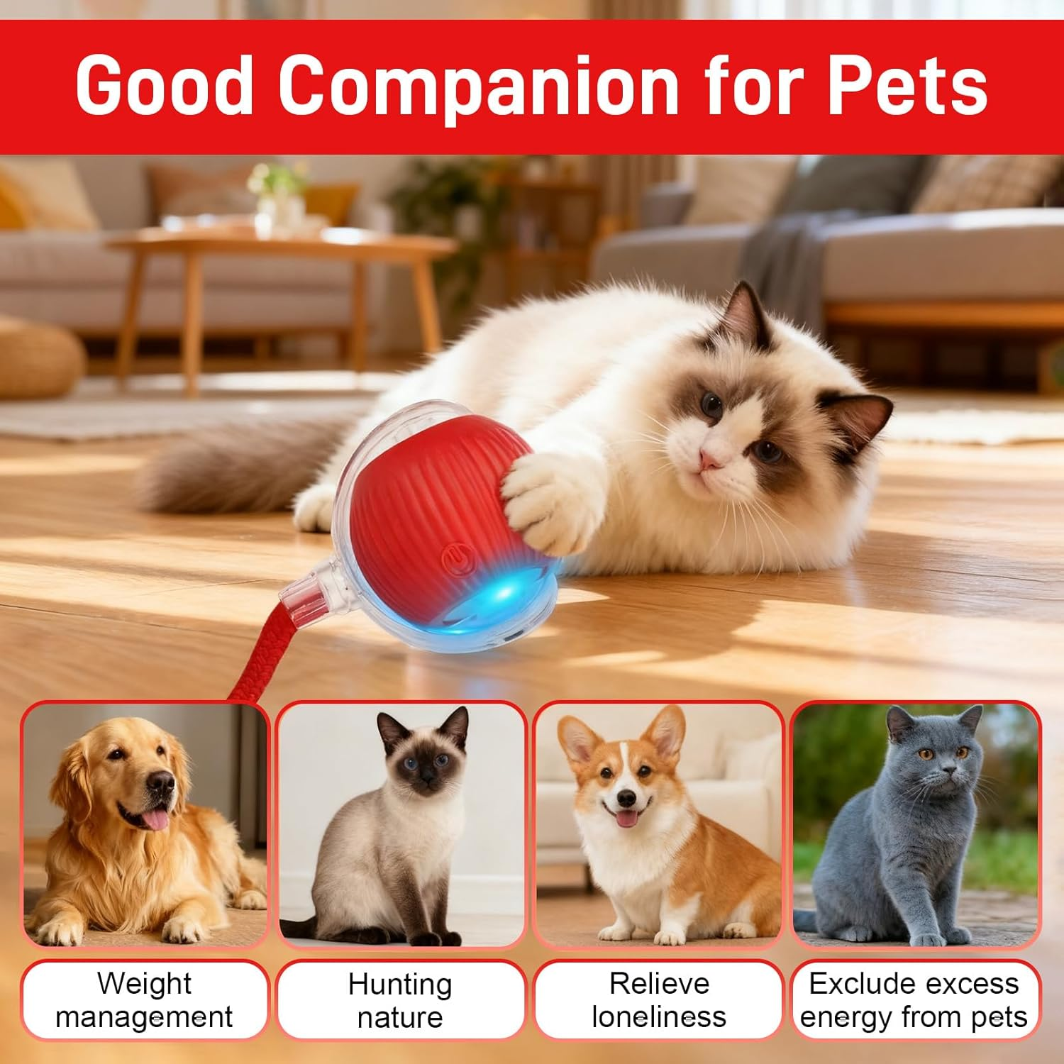 Jeyzuroa Interactive Cat Toy Ball for Indoor Cats, Automatic Moving Cat Toy with Bird Sound, USB-C Rechargeable (Red) image number 3