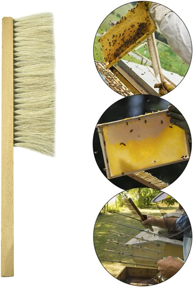 Beekeeping Brush, Wooden Handle Brush Beekeeper Tool, Practical Beekeeping Accessory for Beginners and Professional image number 6