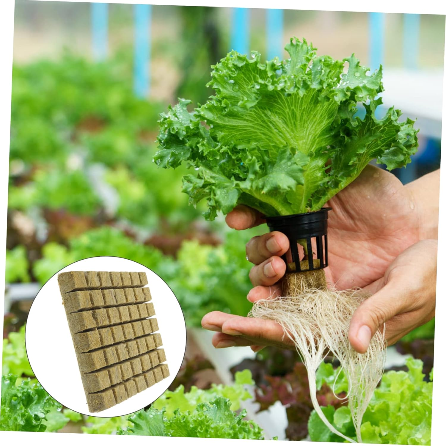 Parliky Hydroponic Grow Cubes Soilless Cultivation Nursery Blocks Lightweight Air Permeable Planting Supplies for Seed Starting and Greenhouse Gardening