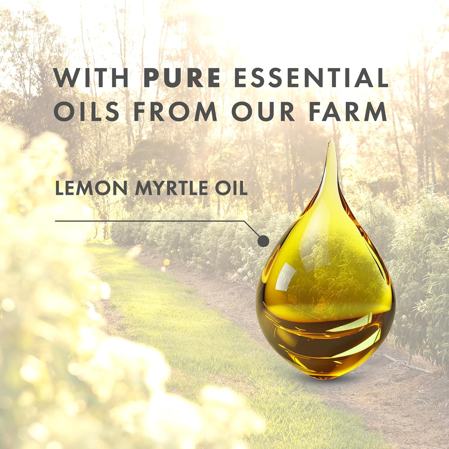 Freshwater Farm Australia Soothing Castile Natural Body Bar/Soap Bar for Women/Men- Lemon Myrtle Oil+Manuka Honey. Nourishing Essential Oils Soap/Body Soap for Dry, Sensitive Skin-200G X 8 Pack