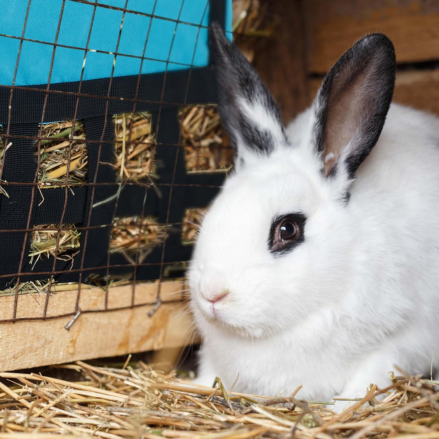 Relaxdays Fabric Hay Bag for Small Animals, H30 X W30 Cm, for Rabbits, Guinea Pigs, Hamsters, Blue/Black image number 2