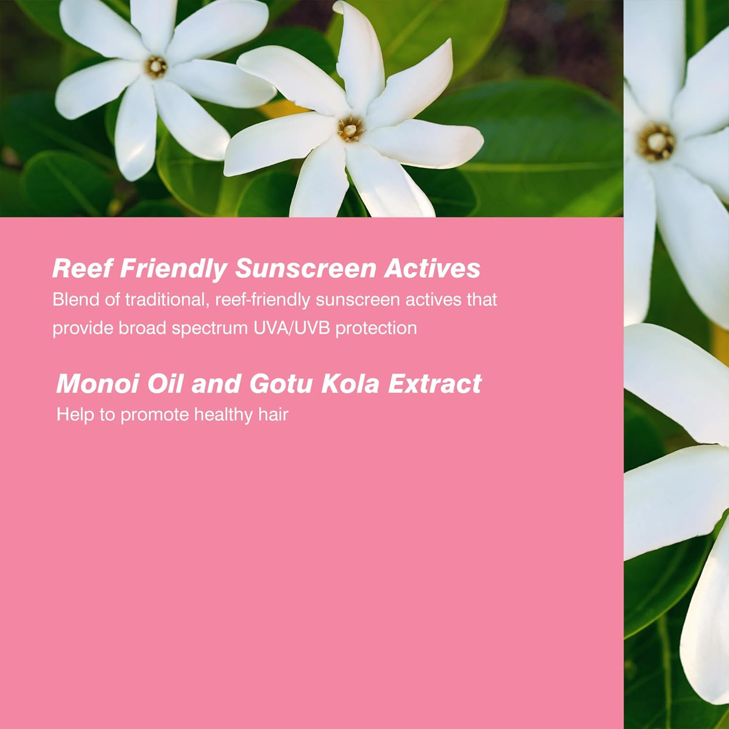 Coola Classic Organic SPF 30 Scalp and Hair Mist 59 Ml image number 4