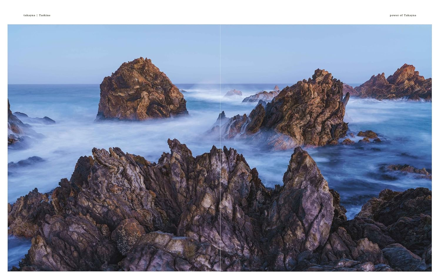 Takayna/Tarkine: One of the Last Wild Placces on Earth image number 6