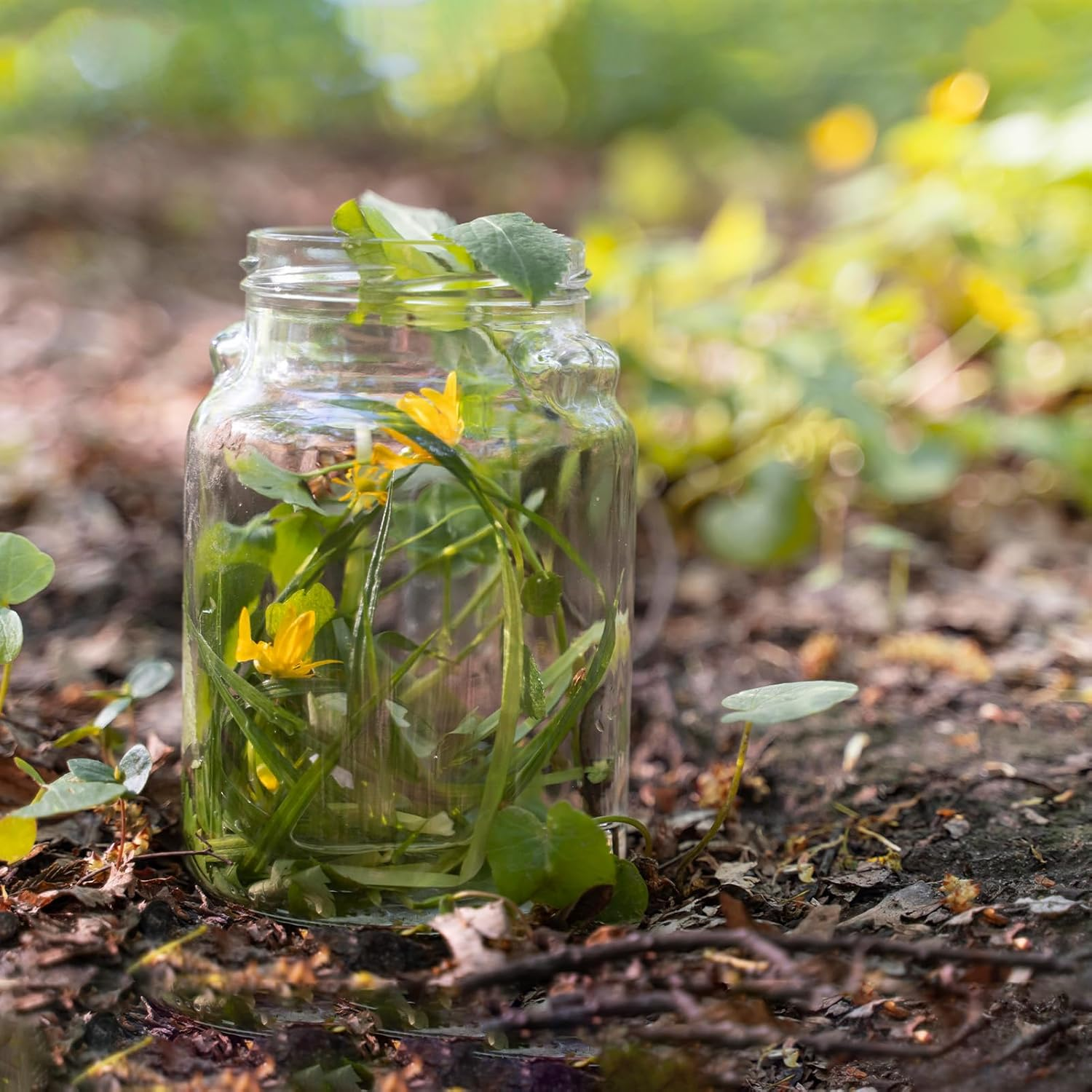 2 Pcs Sprouting Jar,32Oz Seed Sprouting Jar Kit with 304 Stainless Steel Screen Sprout Lids,Tray,Stand,Shading Cloth and Canning Brush for Growing Broccoli, Alfalfa, Mung Bean image number 4