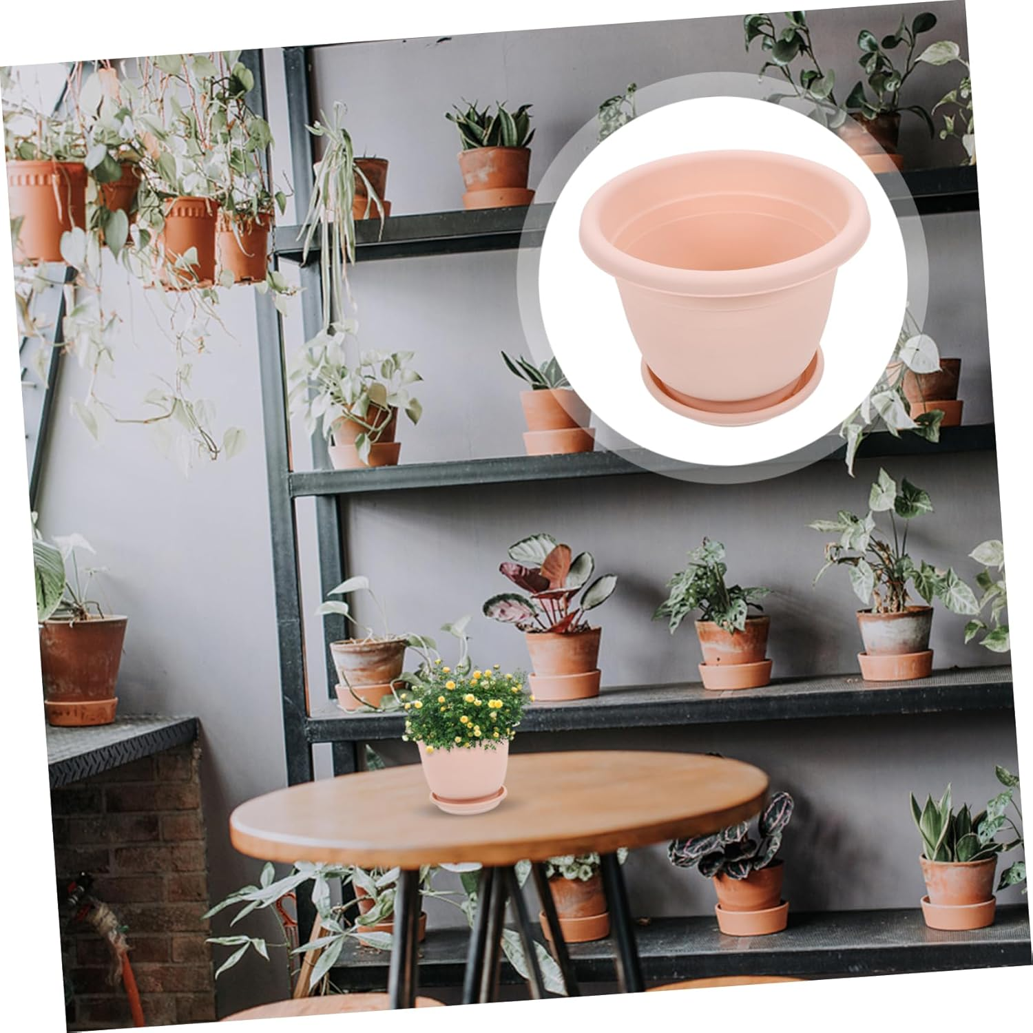 Levemolo 5Sets Root Control Flower Pot Plastic Planter Saucer Kit Garden Supply for Succulent Planters Outdoor for Plant Nursery Pots and Garden Nursery image number 5