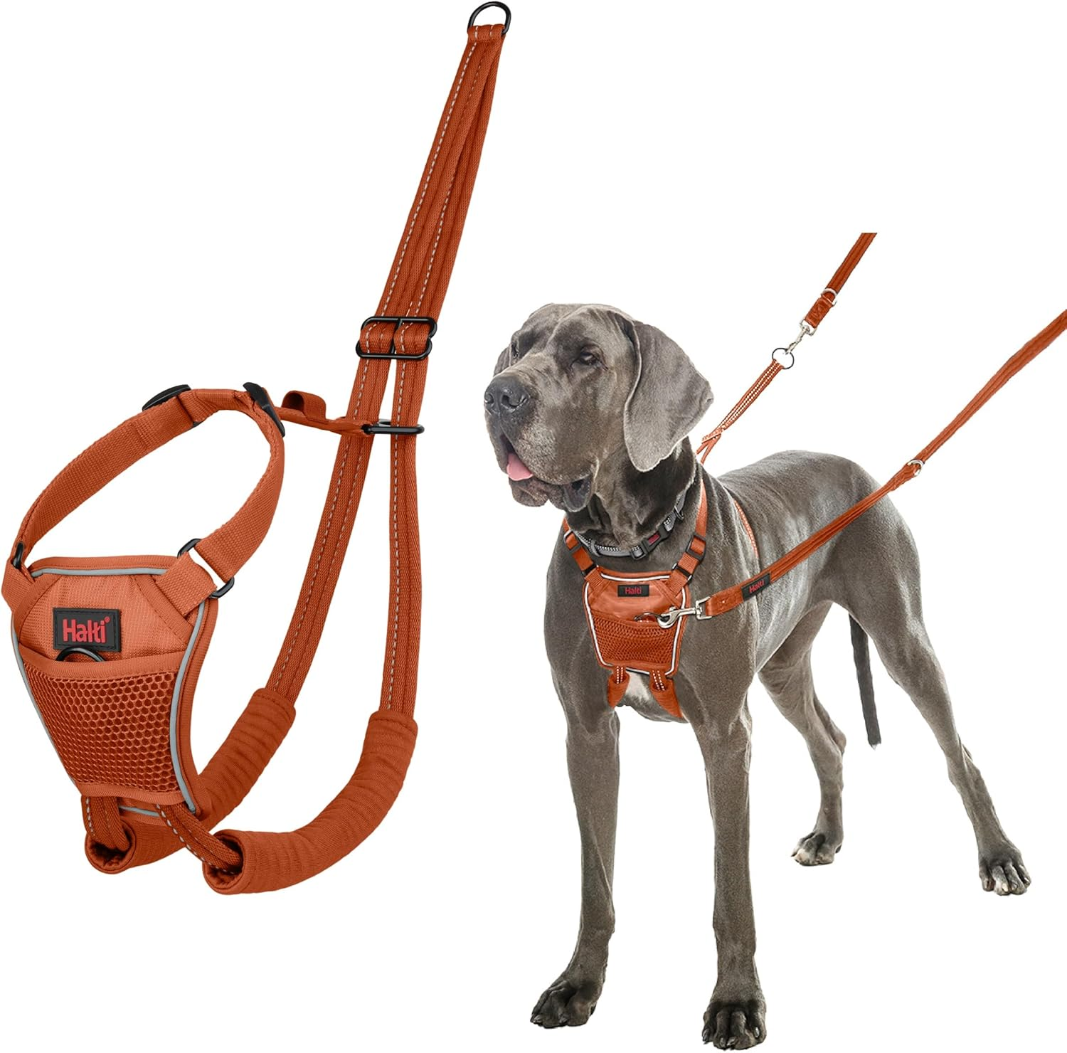 HALTI No Pull Anti-Pull Harness - Prevents Your Dog from Pulling on the Lead, Padded Chest and Leg Strap, Reflective Strap Material, Easy Adjustment and Use (Size M, Walnut Brown)