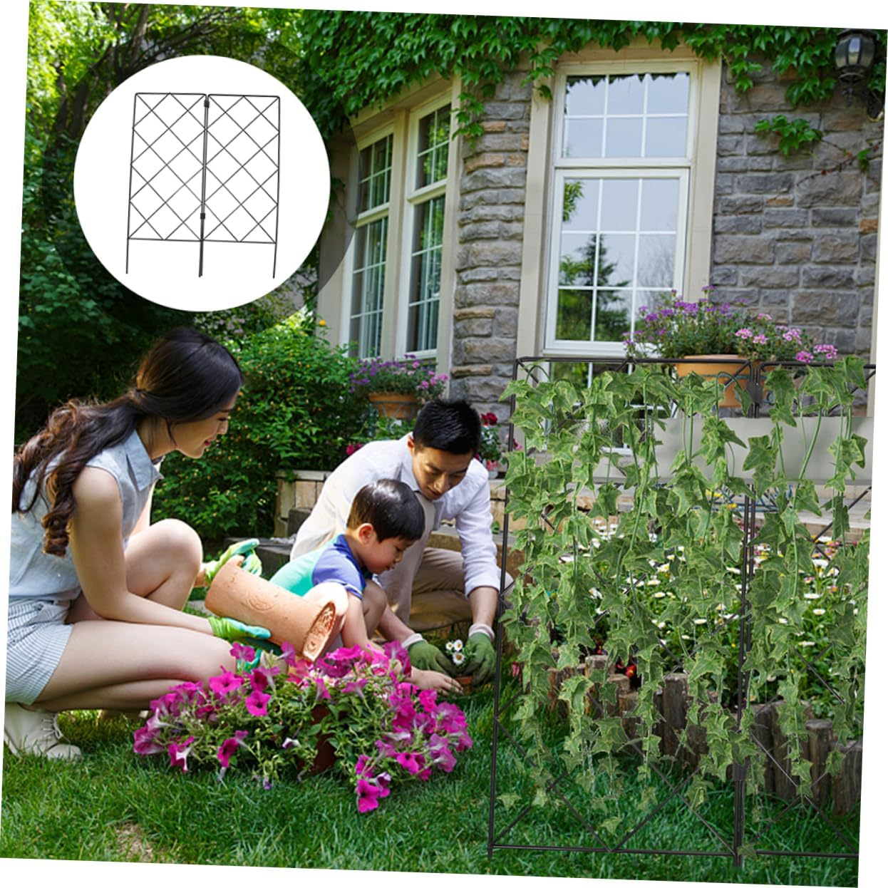 MOBUTOFU 2Pcs Garden Plant Climbing Trellis Support Bracket for Outdoor Plants Folding Gardening Accessories Decoration image number 3