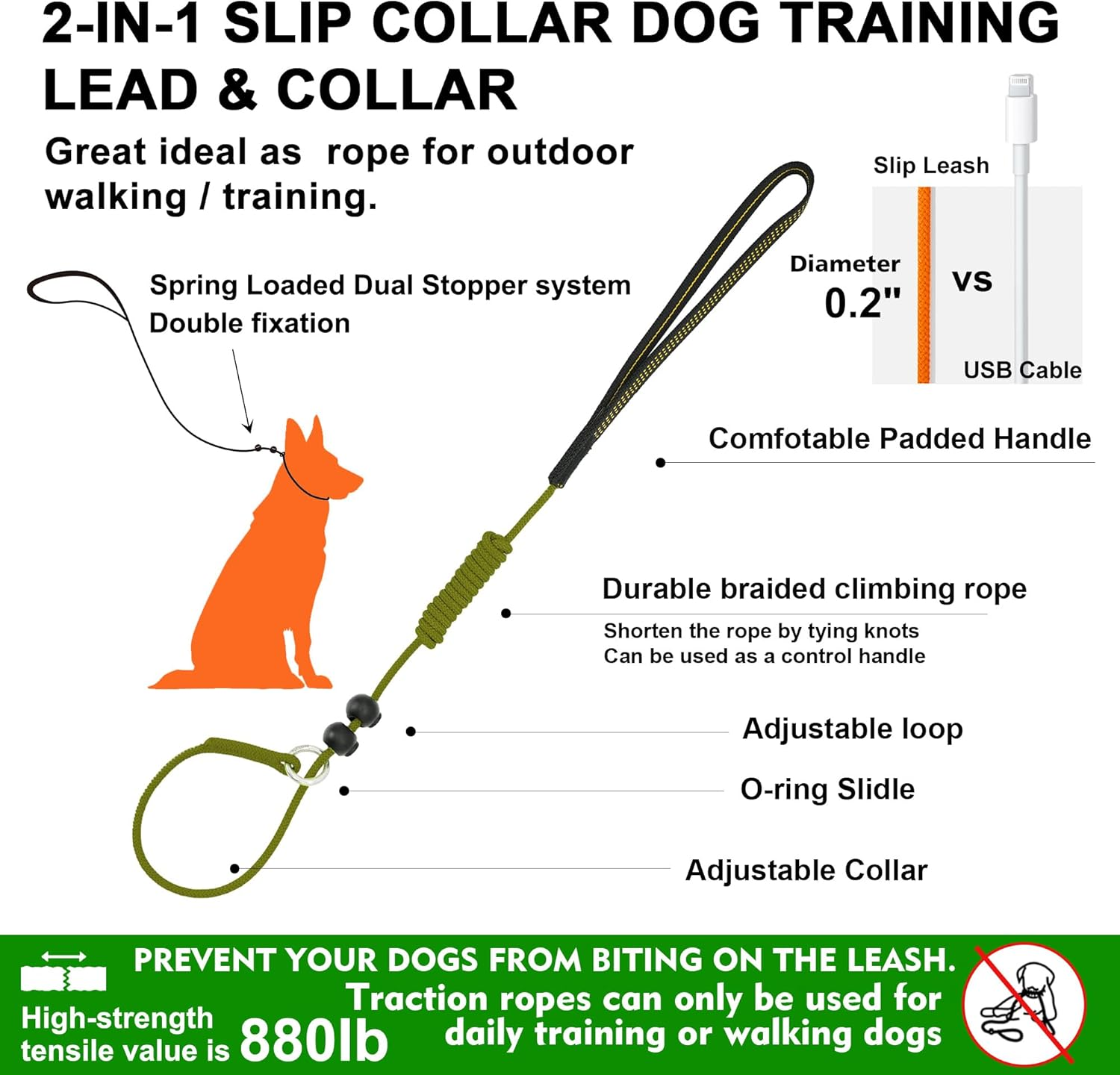 Beaugo Slip Leads for Dogs,Top Speed Training Dog Leash,2-In-1 Slip Collar Dog Training Lead & Collar,5Ft Thin Slip Lead,Sturdyand Durable, Leash Suitable for Small, Medium, and Large Dogs(Dark Green image number 4