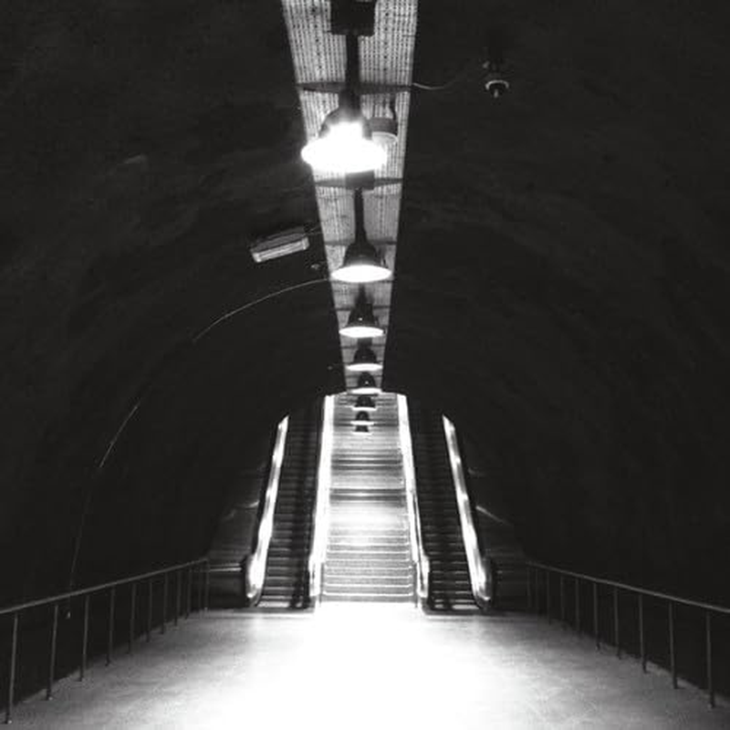 Flesh Flesh image number 1