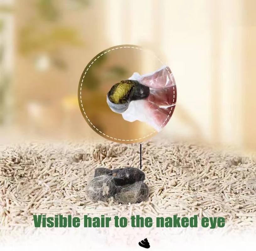 Cat Grass Stick Treats, Catnip Chew Toys for Cat, Natural Dried Snacks Grinding Rod for Indoor Kitten, Edible Cat Molar Toys for Cleaning Teeth Remove Hairball (Spruce Cat Grass Sticks-40G) image number 4