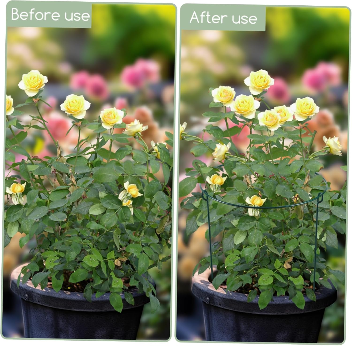 BUTIFULSIC 3Pcs Gardening Support Frame Peony Cages Plant Climbing Trellis Orchid Stakes Plant Bracket Garden Climbing Stakes Support Frames for Plant Vine Support Wrought Iron Green image number 3