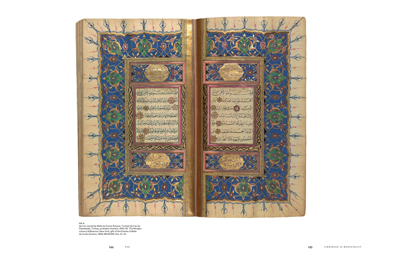 Belle Da Costa Greene: a Librarian'S Legacy image number 4