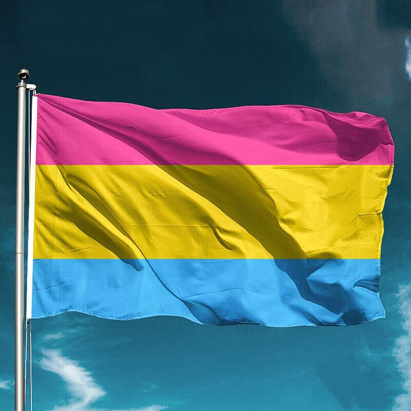 AIMALL Pansexual LARGE Flag 150X90Cm Pan Sexual LGBT Lesbian Gay Rainbow Mardi Gras New image number 5