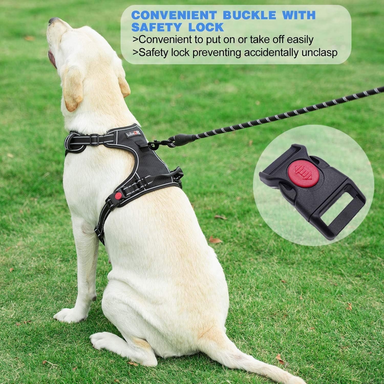 No Pull Dog Harness Adjustable Reflective Oxford Easy Control Medium Large Dog Harness with a Free Heavy Duty 5Ft Dog Leash (L (Neck: 18"-25.5", Chest: 24.5"-33"), Blue Harness+Leash) image number 5