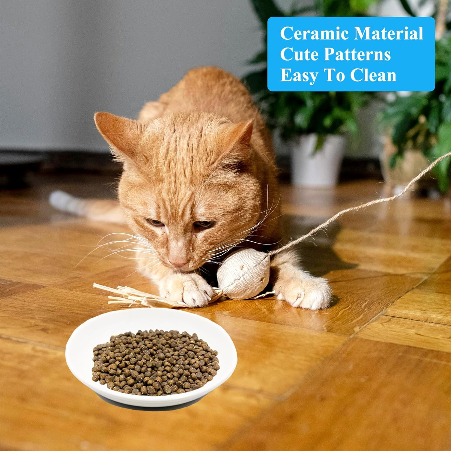 Cat Bowl, Flat Ceramic, Feeding Bowl Cat with Non-Slip Silicone Base, Raised Cat Food Bowl, Water Bowl for Kittens (Cat Paw Pattern)