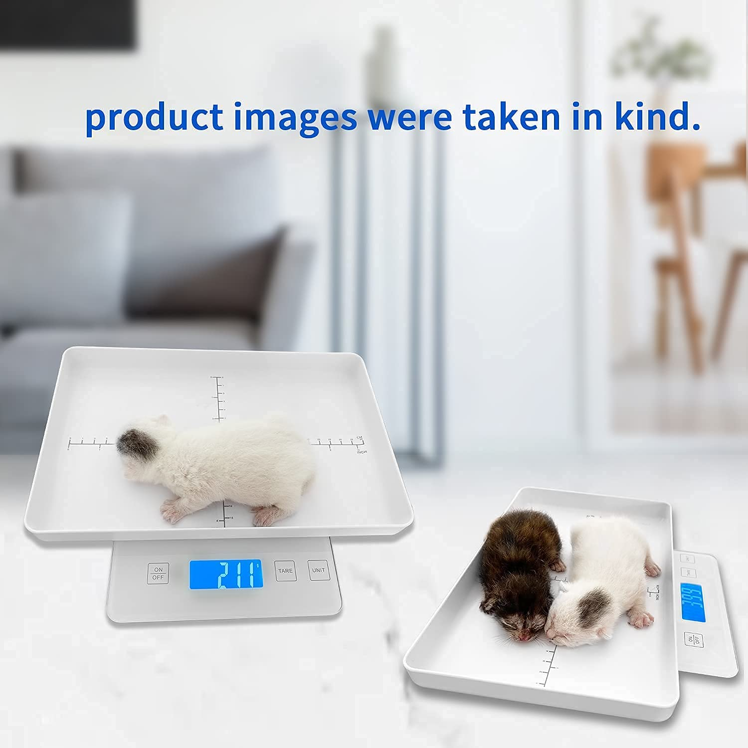 MINDPET-MED Digital Pet Scale for Small Animal, Whelping Scale,Mini Precision Gram Weight Balance Scale, High Precision 1G, Suitable for Newborn Pets - White image number 2
