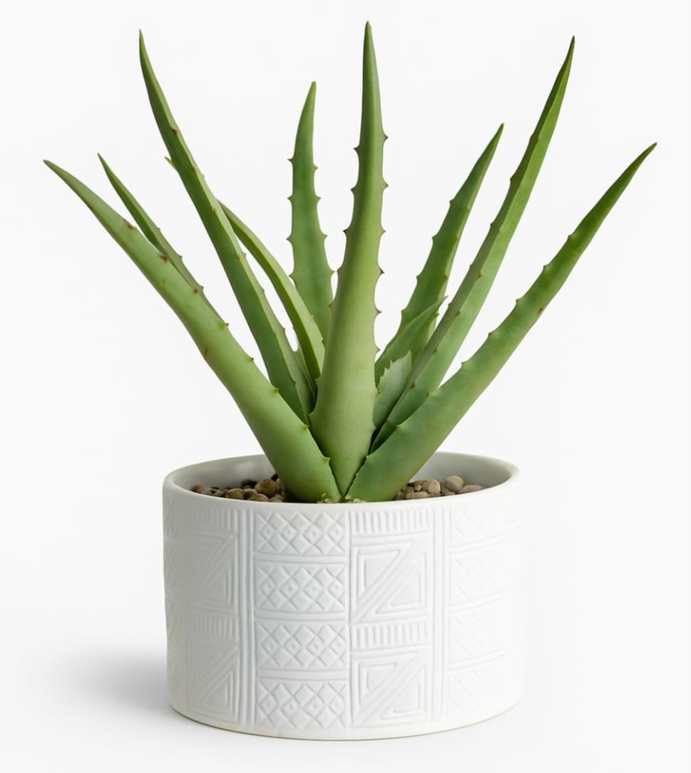 Artificial Plant in White Ceramic Pot | 10" High Faux Agave Plant in White Pot | Fake Plant for Desk Decor | Artificial Agave for Home Decor Indoor | Artificial Succulent for Shelf Decor image number 2