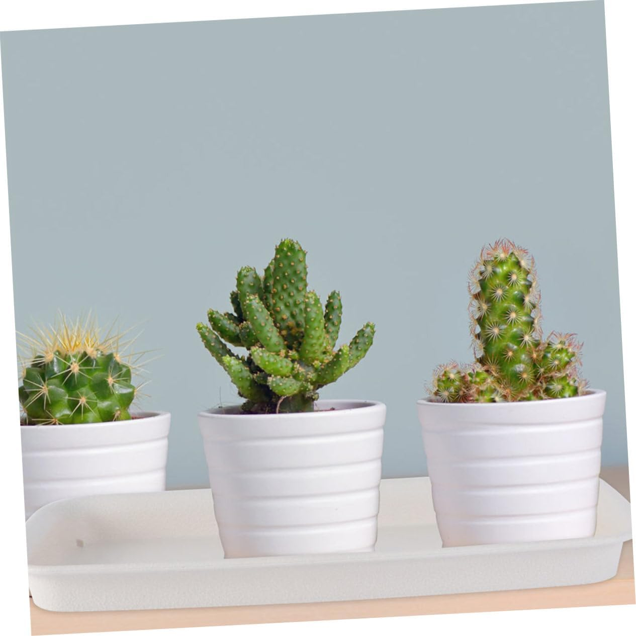 KONTONTY 4Pcs Rectangular Flowerpot Plate Plant Pot Holder Plastic Trays Outdoor Gardening Trays Pan Plant Containers Accessories Planter Succulent Pots Thickened Water Pan Easy Clean image number 4