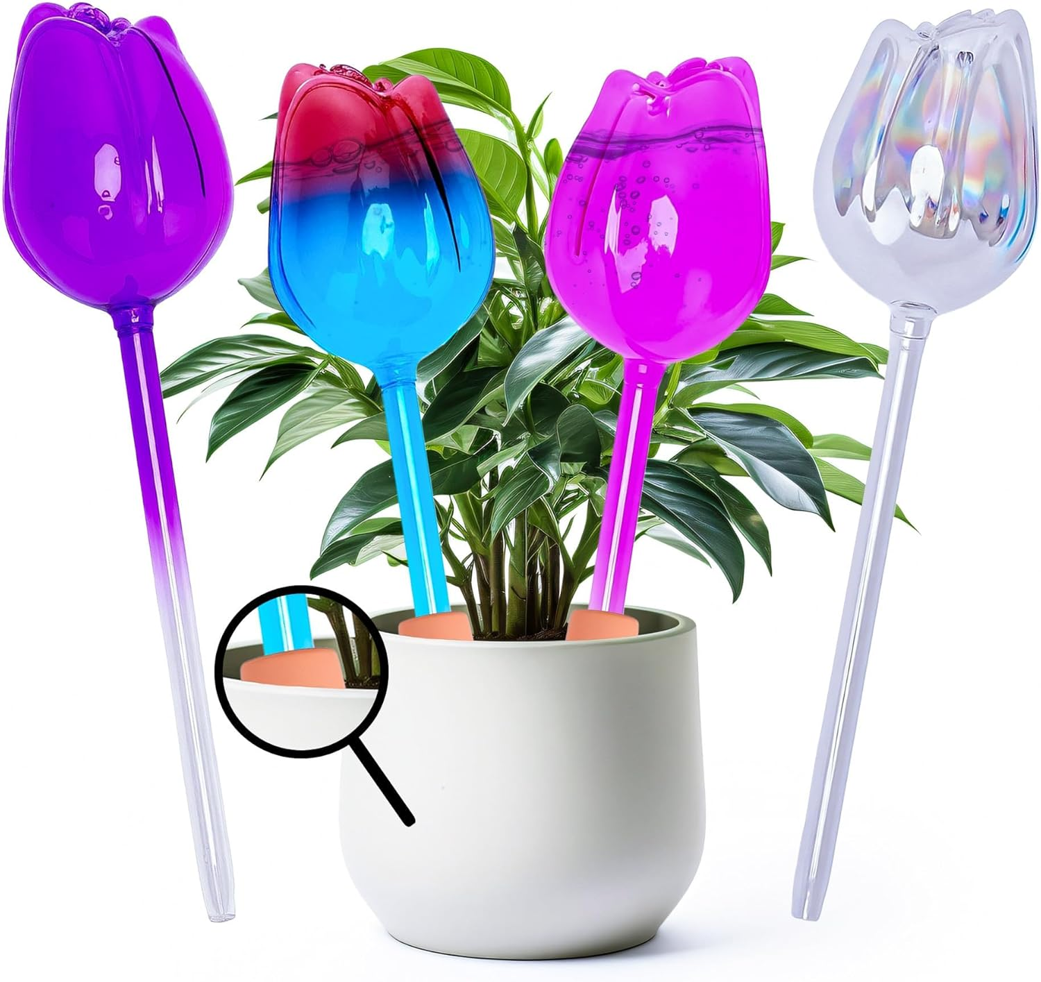 Tulip-Shaped Glass Watering Globes for Indoor Outdoor Plants, Self Watering Devices 21.5Cm Long, Automatic Irrigation Spikes for Potted Plants image number 3