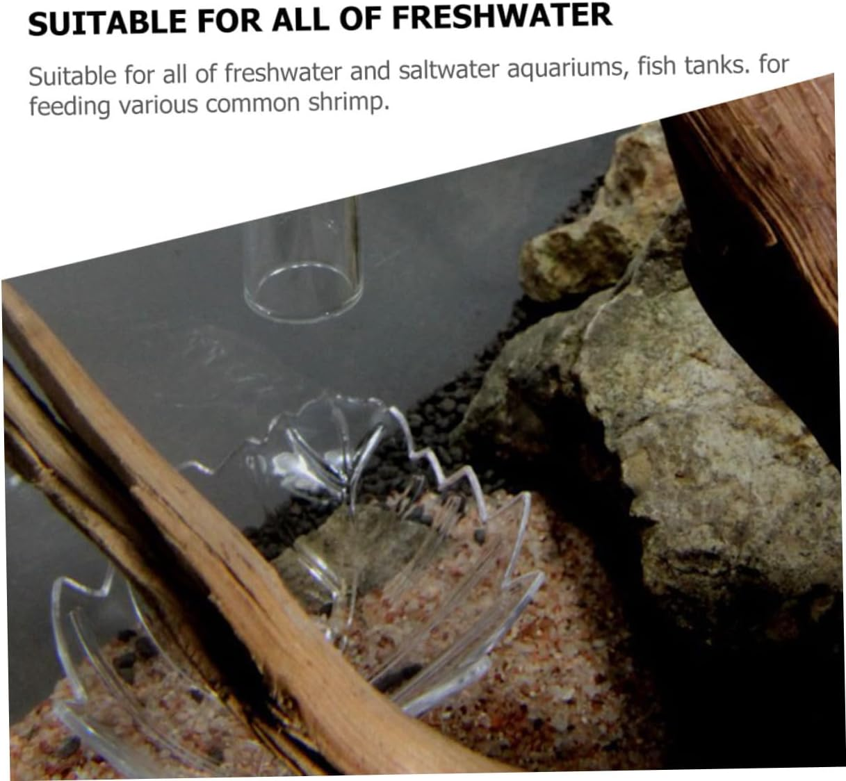 NAMOARLY Shrimp Feeding Bowl and Aquarium Shrimp Feeder Dish Small Size Crystal Material Fish Tank Feeding Tray for Aquatic Pets image number 3