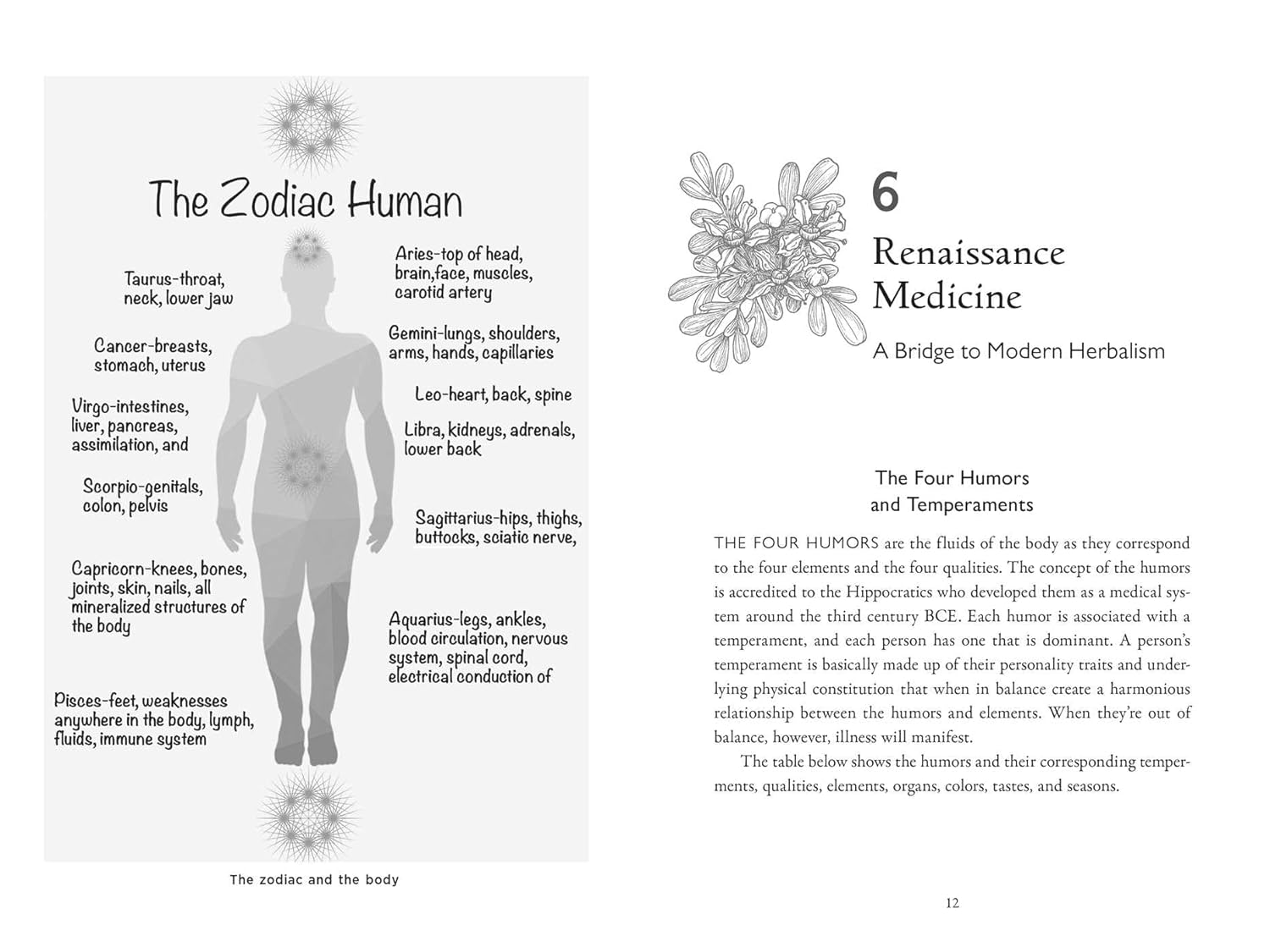 Della Medicina: the Tradition of Italian-American Folk Healing image number 6