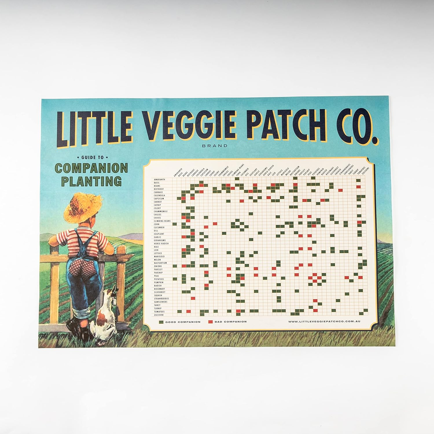 Little Veggie Patch Companion Planting Poster