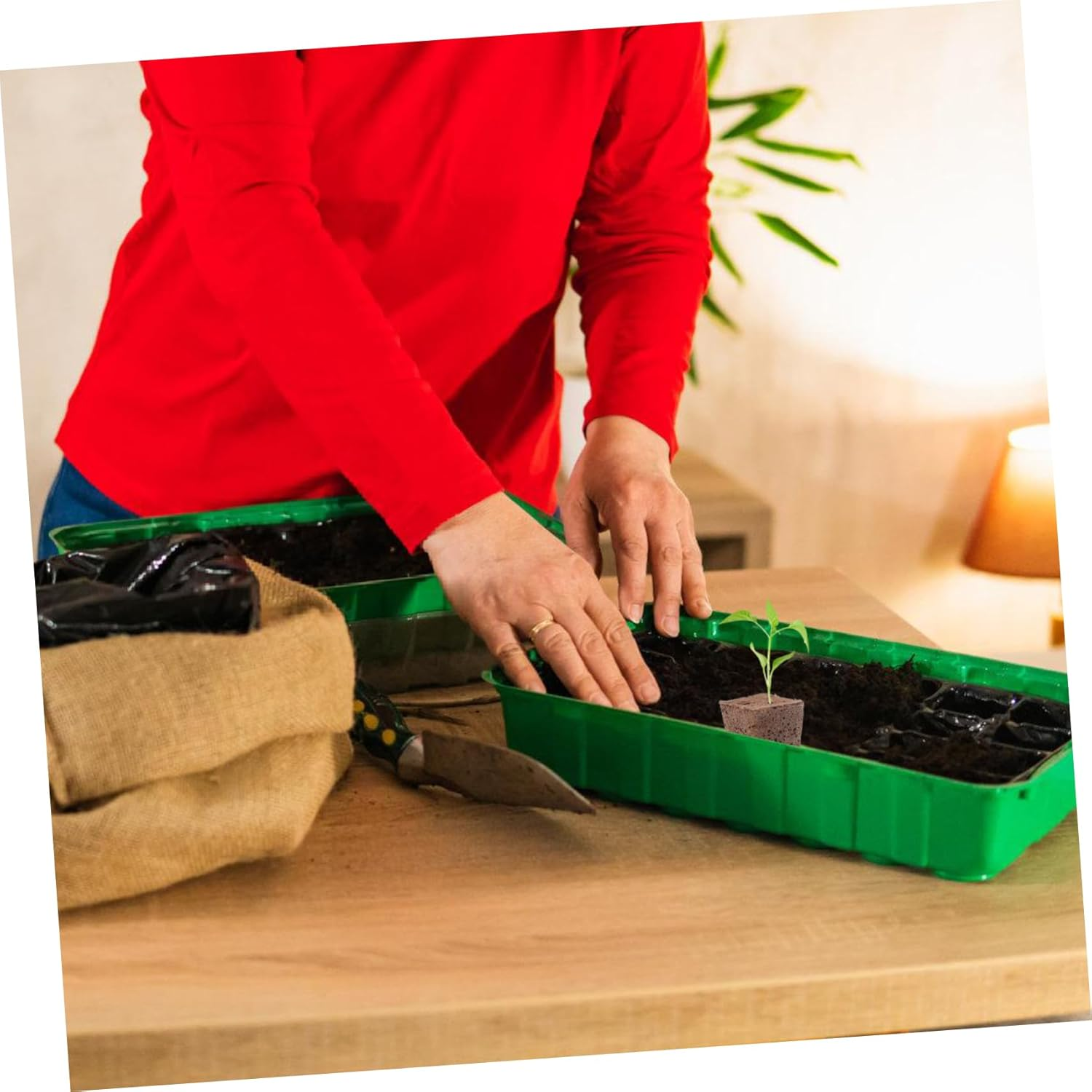 KITANDOVE 40Pcs Hydroponics Seed Starter Blocks Soilless Cultivation Grow Media Cubes for Indoor and Outdoor Gardening 1 Inch Plant Nursery Plugs High Air Permeability image number 5