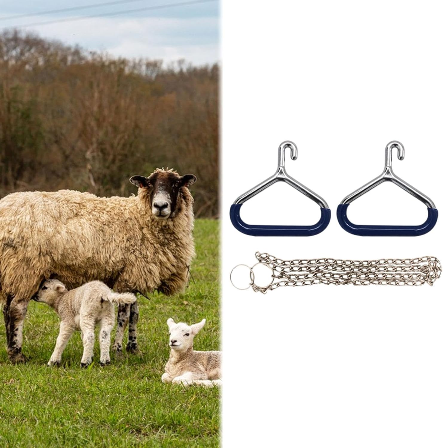 Cow Calving Apparatus, Forceps, Accessory, Heavy Duty Veterinary Tool, Stainless Steel Livestock Calving Instruments, 2 OB Handle 1 Chain - 1 Chain image number 6