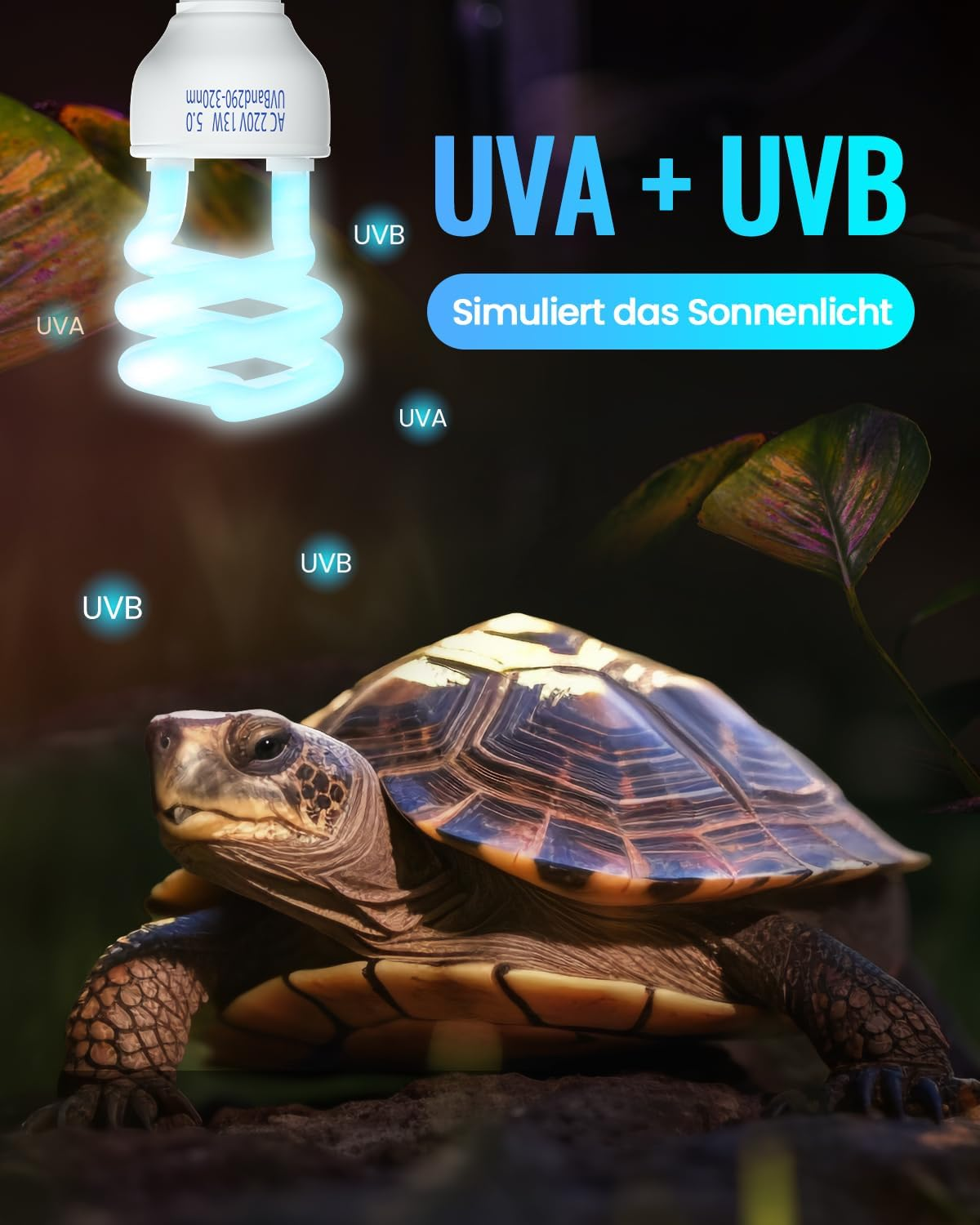 Doright 5.0 13 W UVB Lamp, E27 Reptile Compact UVA UVB Lamp Terrarium, AC 220-240 V Animals Fluorescent Lamp for Lizard Chameleon Leopard Gecko Vivarium Turtle Tank Pack of 1 image number 5