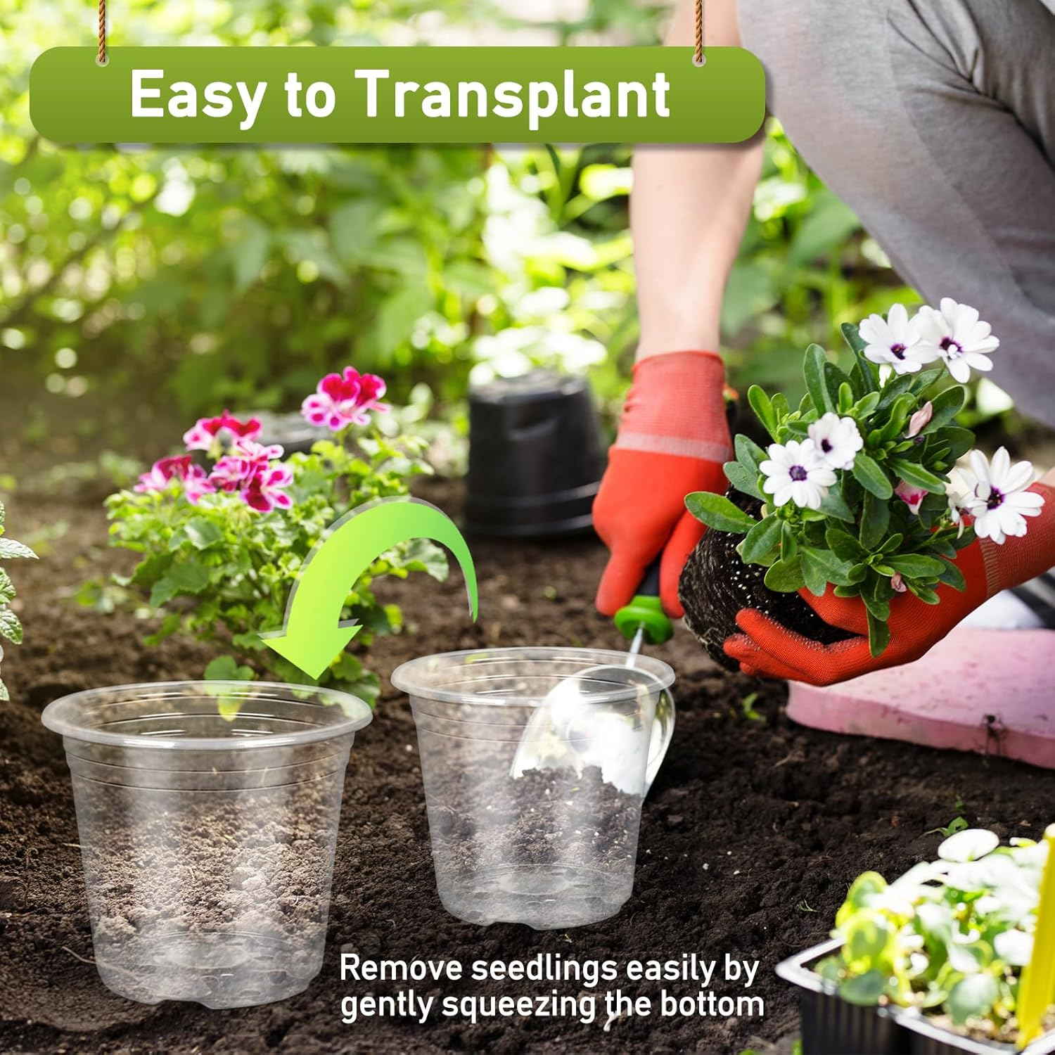 TAQIXI 3/4/5/6 Inch Clear Nursery Pots with Drainage Holes and Saucers, 20 Pack Clear Plastic Plant Pot, Plant Pot Seed Starter Pots for Succulents image number 6