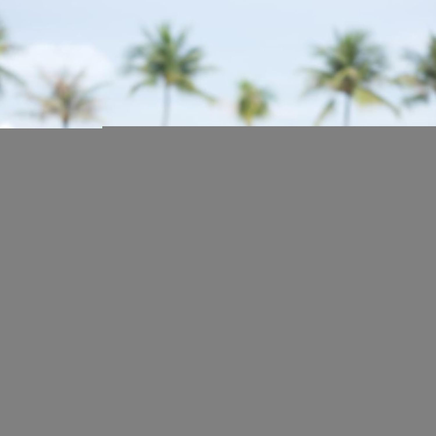 Raypontia 1 Pair of Water Aerobics Weights, Aqua Fitness Dumbbell Set, EVA Foam Dumbbells, Water Weight Barbell, Aqua Aerobics Weight Lifting for Workout, Women, Men image number 4