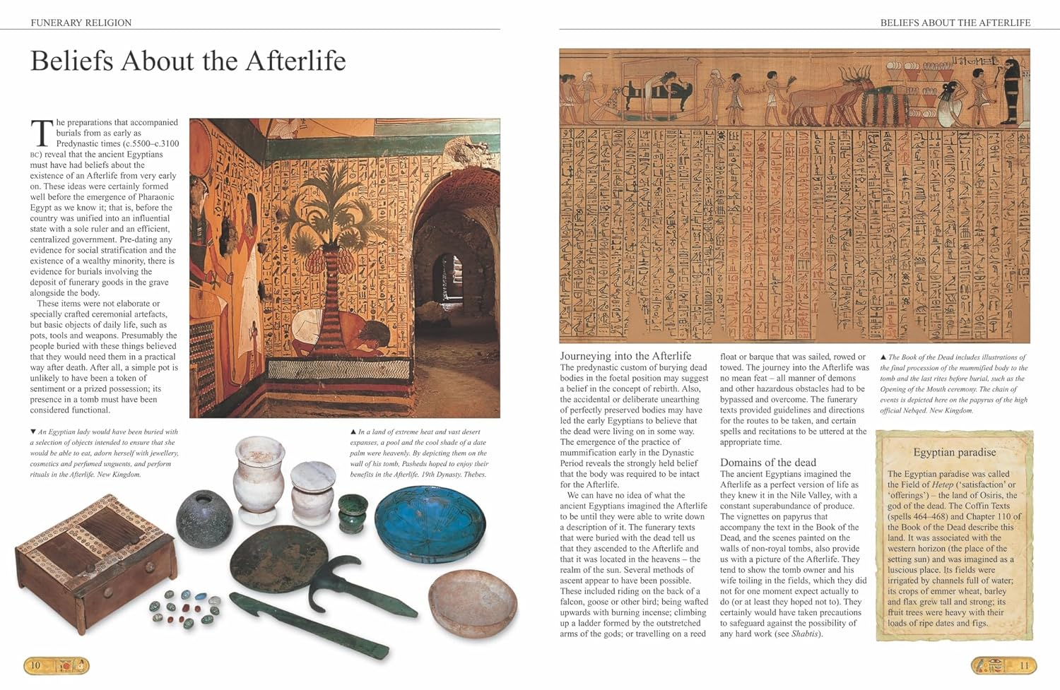 Ancient Egypt: an Illustrated History image number 1