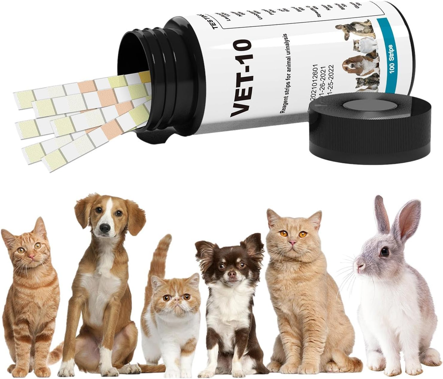 Pet Urine Test Strips - 100Pcs Accurate Kit, 10 Parameter Detection Design | Quick Diagnostic Tool for Cat Dog Rabbitt Puppy Kitten Vet Clinic Home Health Monitoring Veterinary Laboratory image number 3