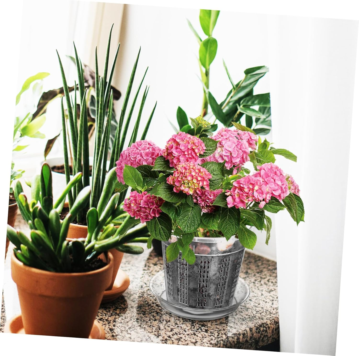 HYTROVE 8Pcs Clear Orchid Pots with Drainage Holes of Slotted Transparent Flower with Saucer for Indoor and Outdoor Gardening image number 5