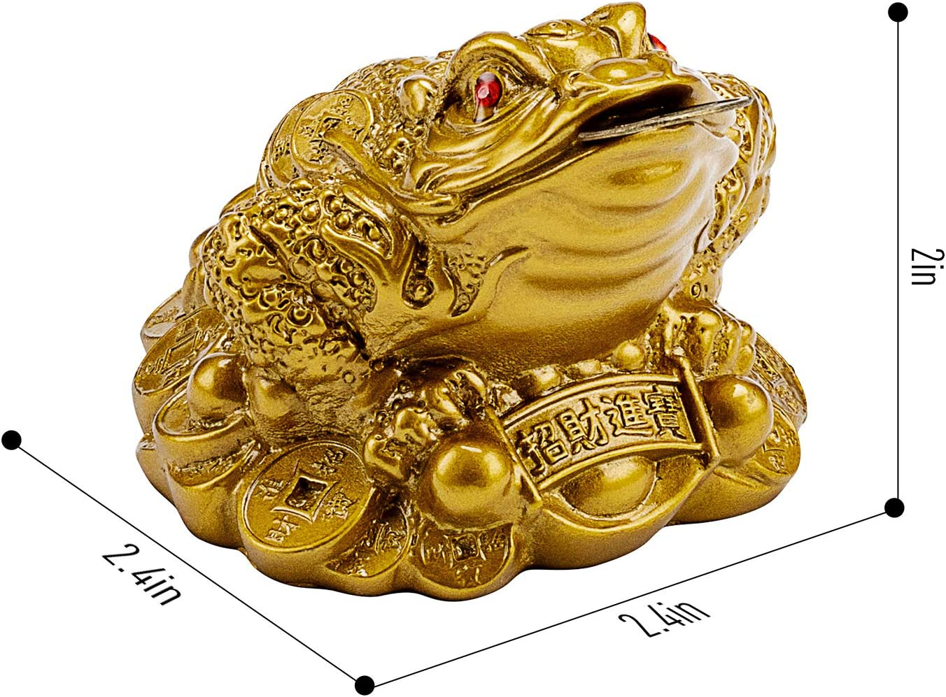 Wschic Feng Shui Money Frog, Lucky Chinese Toad with Coin,Ideal for Office and Home Decoration - Gold image number 4