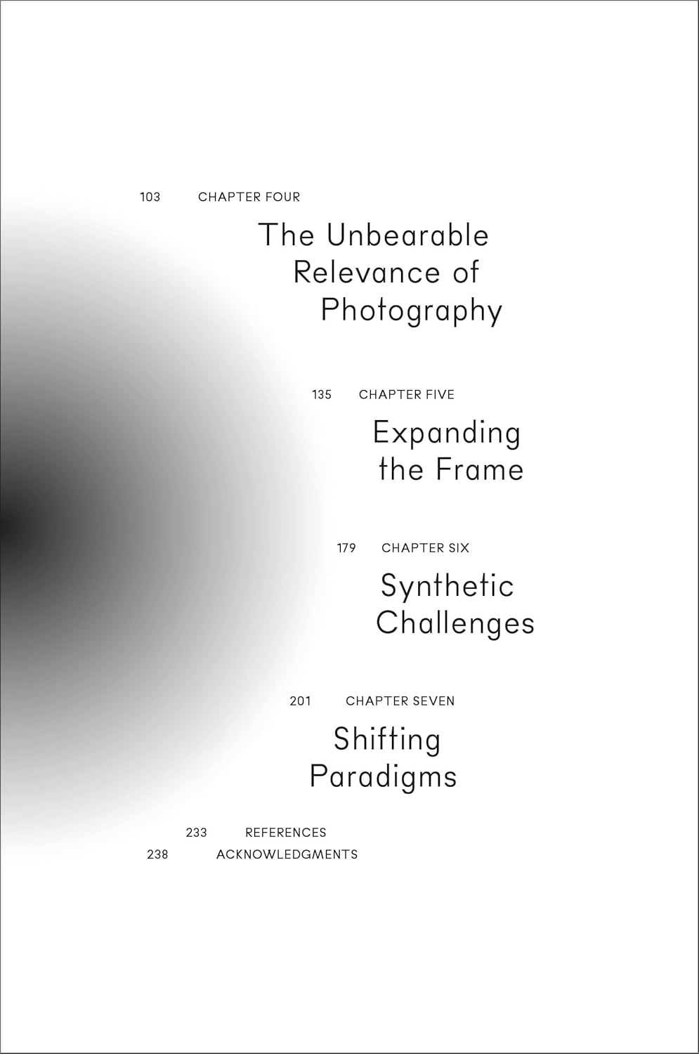 The Synthetic Eye: Photography Transformed in the Age of AI image number 6