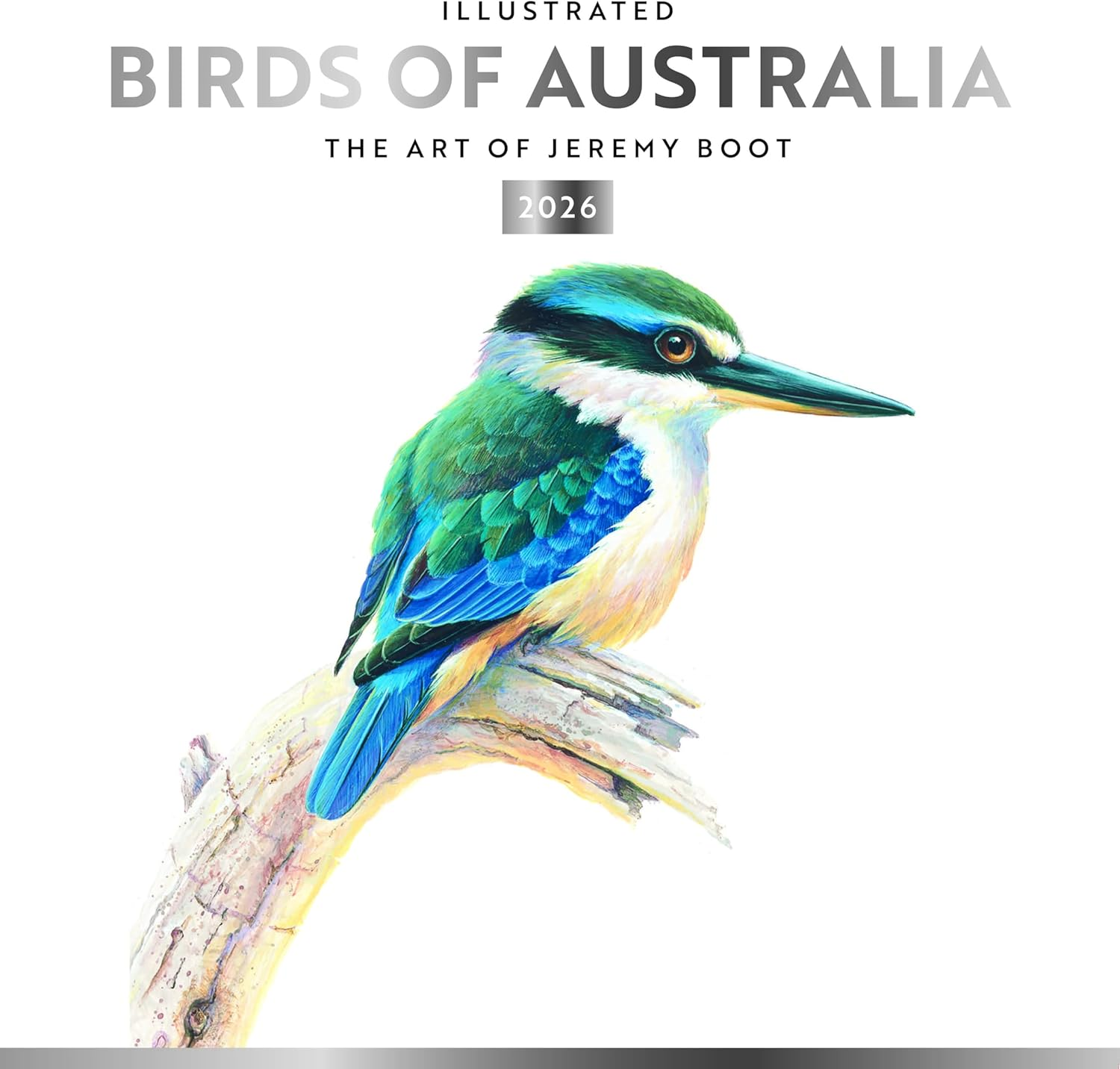 Birds of Australia | the Art of Jeremy Boot | 2026 12 X 24 Inch (Hanging) Monthly Square Wall Calendar | Foil Stamped Cover | Plastic-Free | Browntrout | Animals Ornithology Wildlife