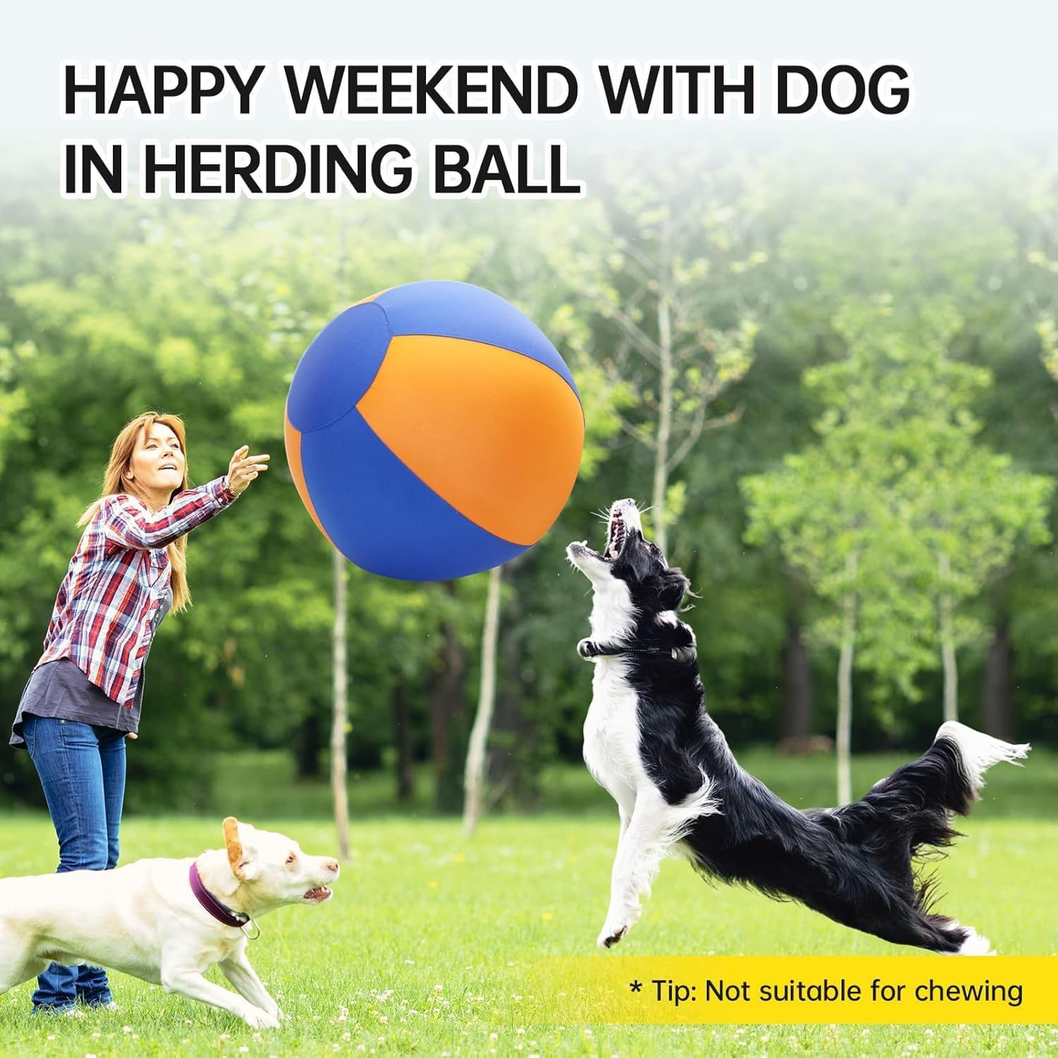 Herding Ball for Dogs, 45Cm Dog Herding Ball, Dog Agility Equipment, for Australian and German Shepherd Collie, Dog Toys for Christmas, Birthday Gifts image number 6