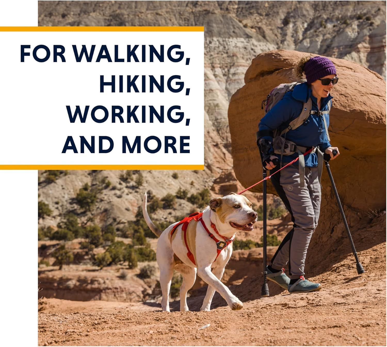 RUFFWEAR Multipurpose Dog Harness with Handle, Web Master Adjustable Harness, 2 Leash Attachments, Everyday Use, Blaze Orange, XXS image number 4