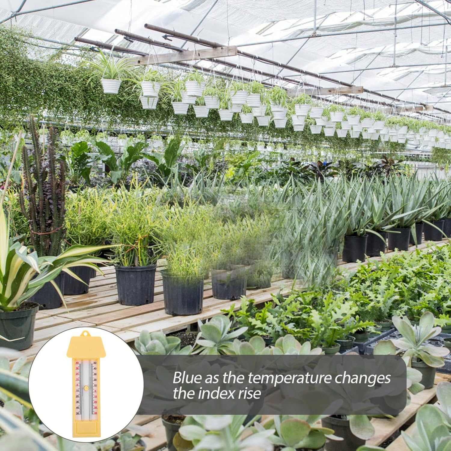 Ciieeo Maximum and Minimum Thermometer for Garden and Greenhouse Indoor Outdoor Use Accurate Celsius Fahrenheit Display for Temperature Monitoring image number 2
