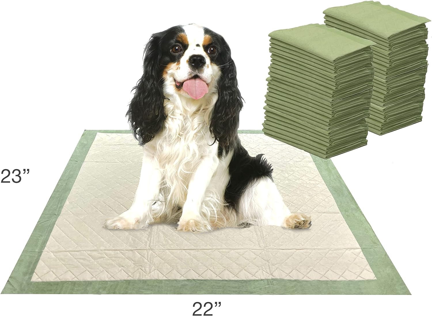 Four Paws Wee-Wee Superior Performance Eco Pee Pads for Dogs - Earth-Friendly Dog & Puppy Pads for Potty Training - Dog Housebreaking & Puppy Supplies - 22" X 23" (50 Count) image number 1