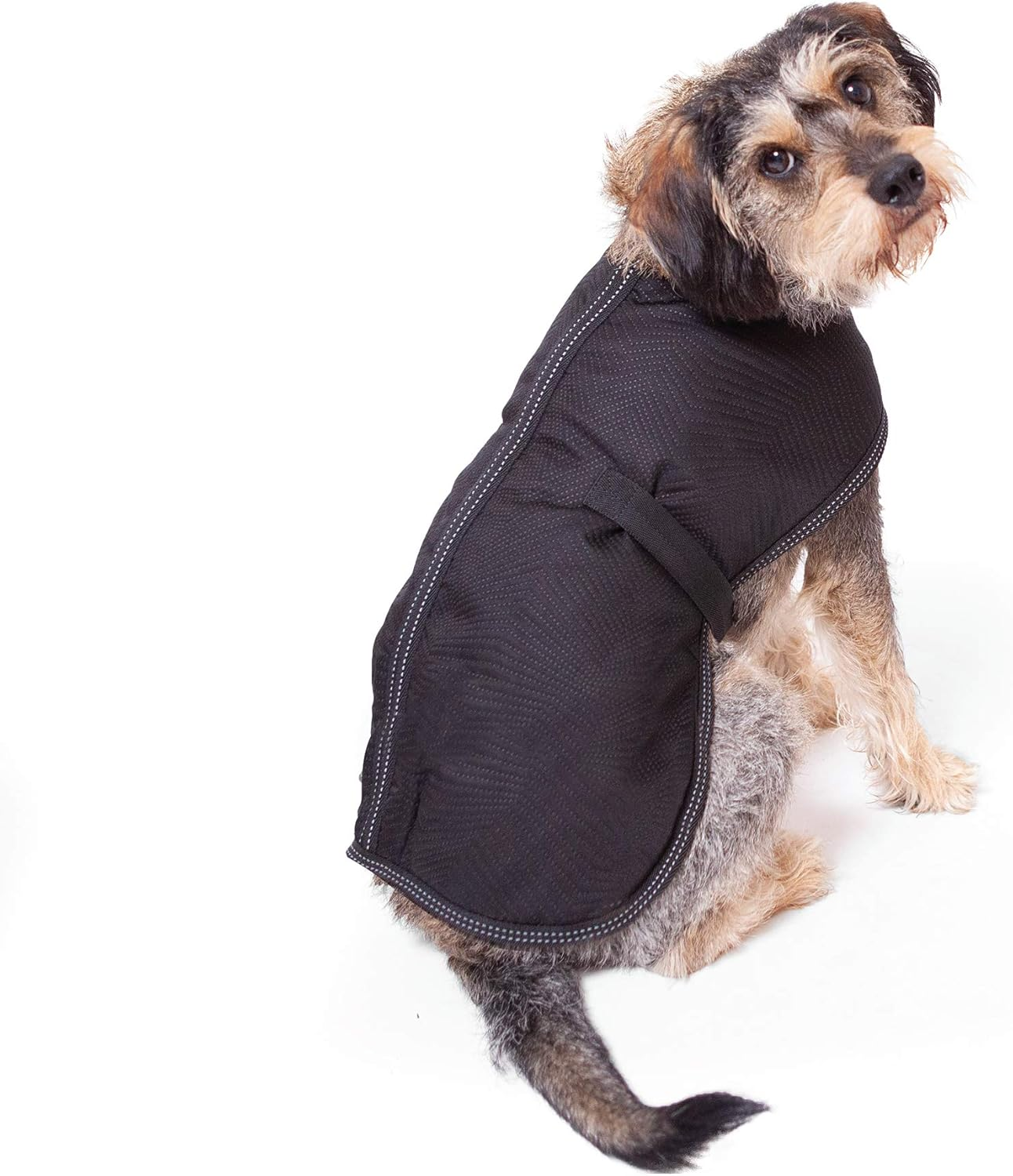 Kazoo Adventure Coat for Dogs, Black, XXL