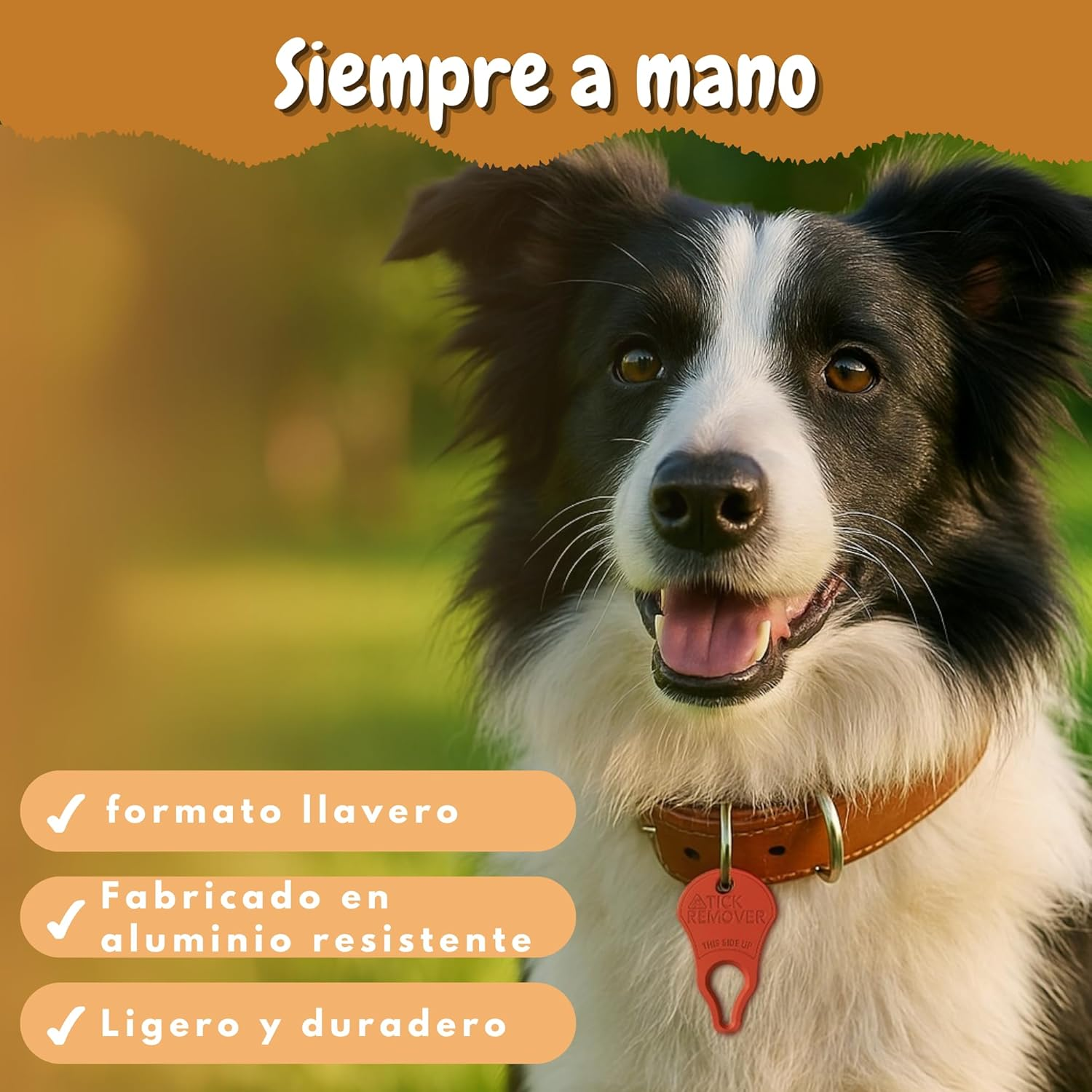 DEARKAN Tick Tweezers - Tick Remover for Dogs and Cats - Tool Type Keyring - Effective and Safe Tick Remover - Easy to Use and Carry - Tick Protection image number 4