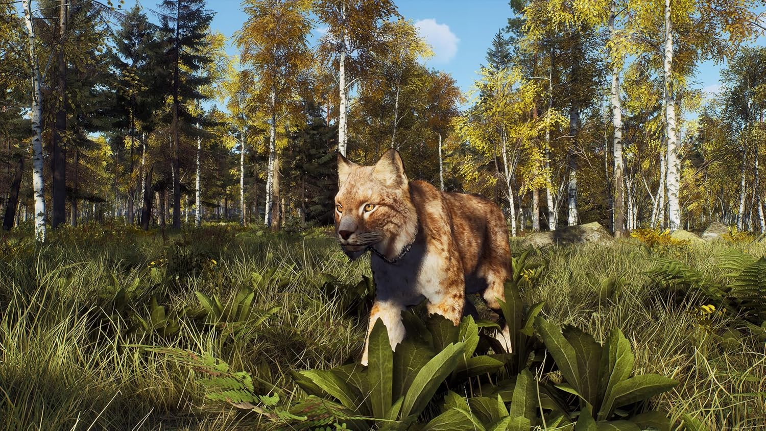 Way of the Hunter - Wild Expeditions /PS5 image number 1