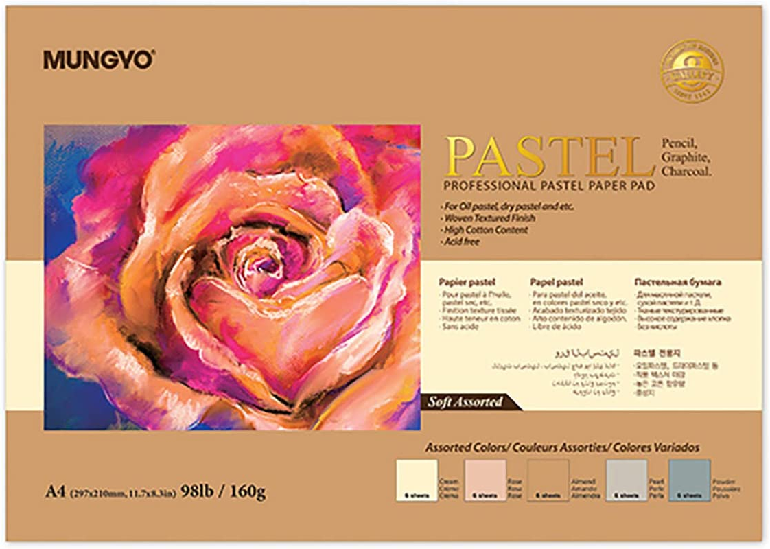 MUNGYO Professional Pastel Paper Pad A4 Size for Oil Pastel, Dry Pastel 30 Sheets (Dark Assorted)