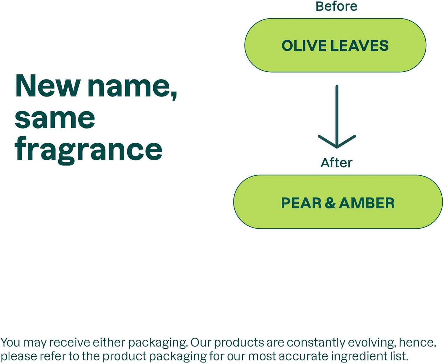 ATTITUDE Natural Hand Soap: EWG Verified, Hypoallergenic & Dermatologist Tested - Super Leaves, Olive Leaves (16 Oz) image number 4