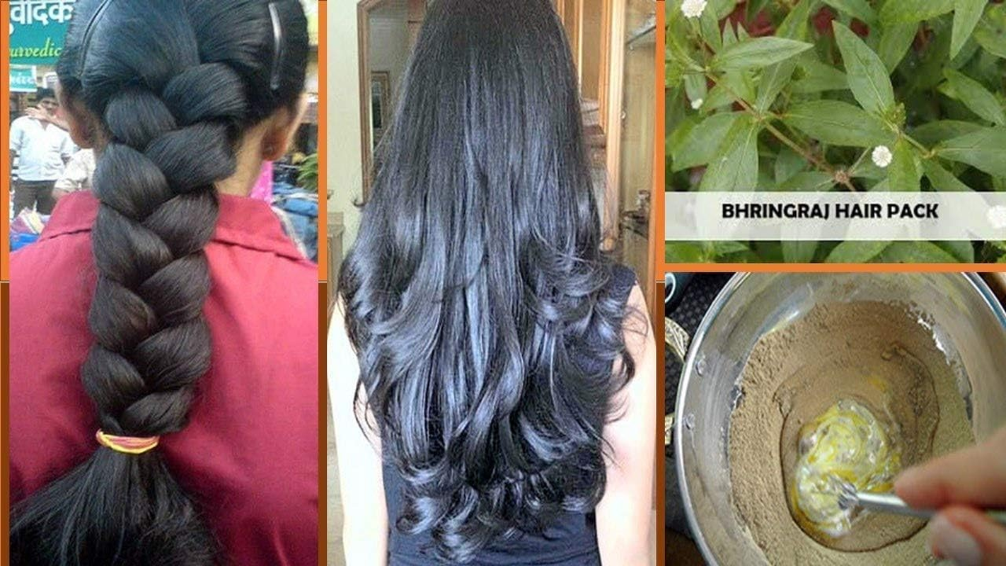 BRALCON Organic Raw Bhringraj -100G| Eclipta Alba | 100% Pure & Natural Bhringraj Leaves | Nourishment of Skin and Hair| Ayurvedic Bhringraj Dry Leaves for Hair Care Pure Raw Form