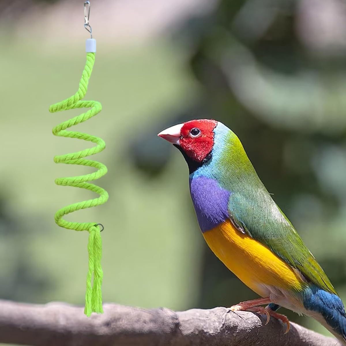 AIMALL Cotton Rope Parrot Toy, 59-Inch Spiral Climbing Rope for Small Birds, Hanging Swing Ladder with Hook, Interactive Cage Toy for Parrots, Cockatiels, Budgies image number 6